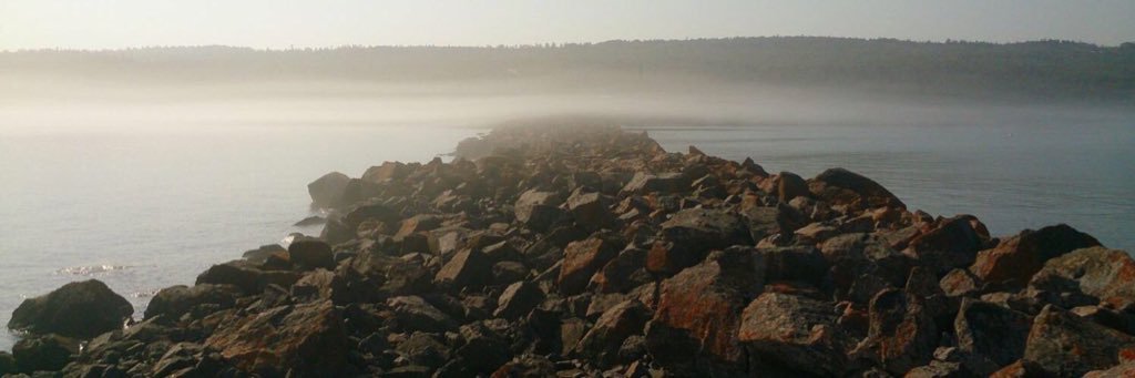 WayneeTweets's profile banner image