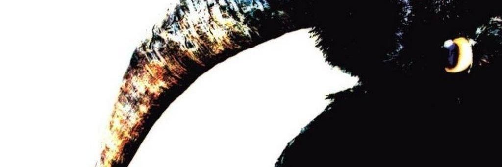 abidtuary's profile banner image