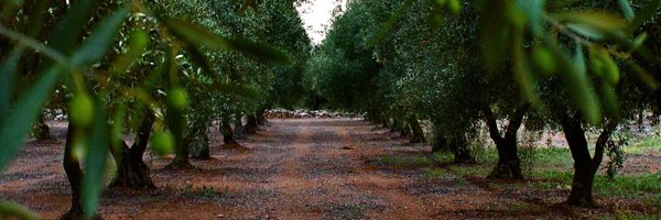 JonMayry Profile Banner