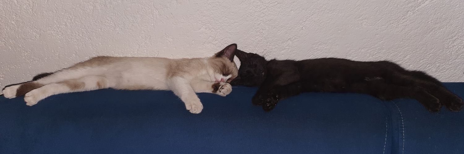 Rolando Cedillo 騎士 banner