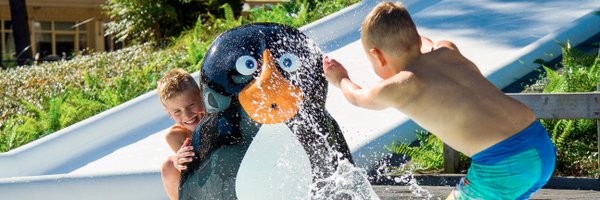 PooljoyBV Profile Banner