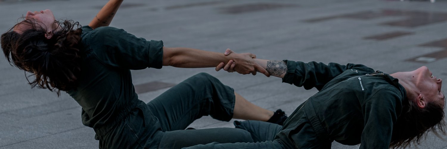 Ripollesdansa's profile banner image