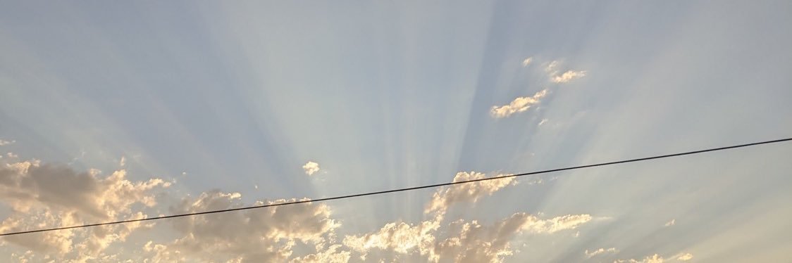 Cat. banner