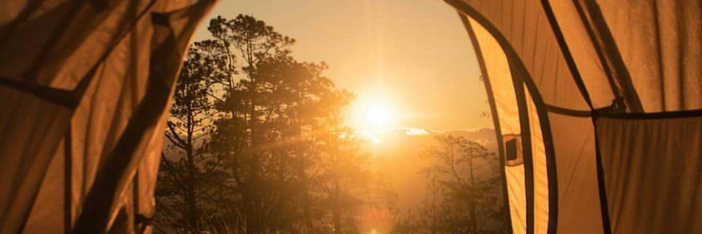 alecaflorano's profile banner image