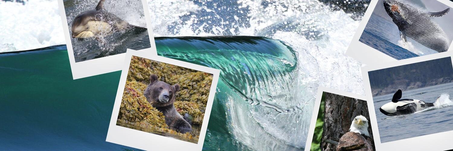 Eagle Eye Adventures banner