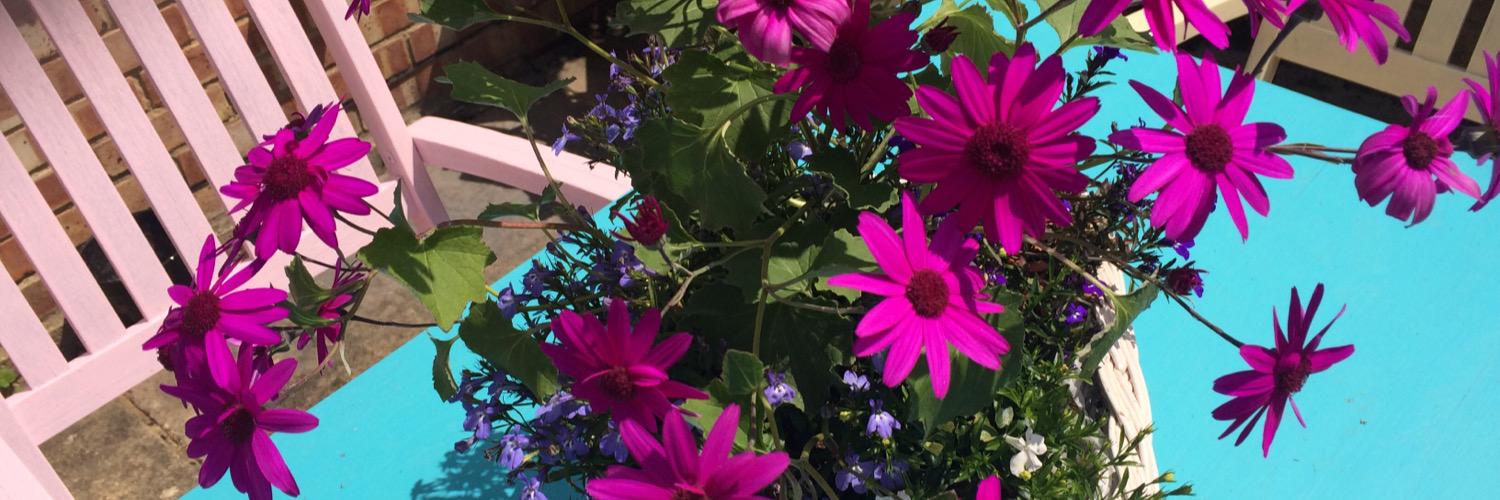 Rae74k's profile banner image