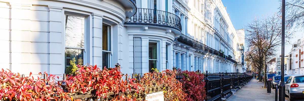 Waltonestates's profile banner image