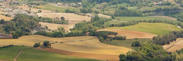 biodiversitat Profile Banner