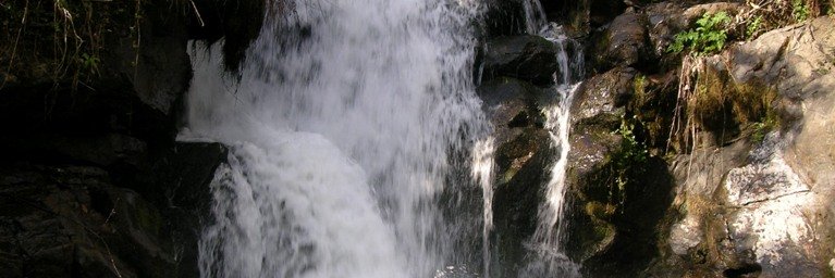 ConCerdido's profile banner image