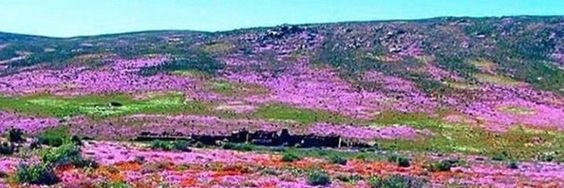 ALETTAHA💎🤗💜🌞's banner