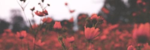 Valencia_A's profile banner image