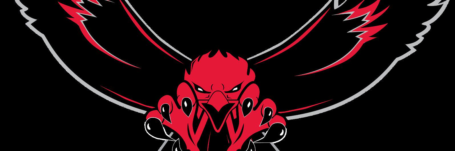 SkyHawksMC's profile banner image