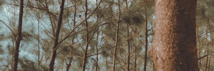 AljunJayMelecio banner