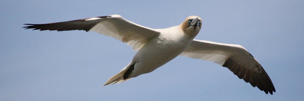APEMAmerica's profile banner image