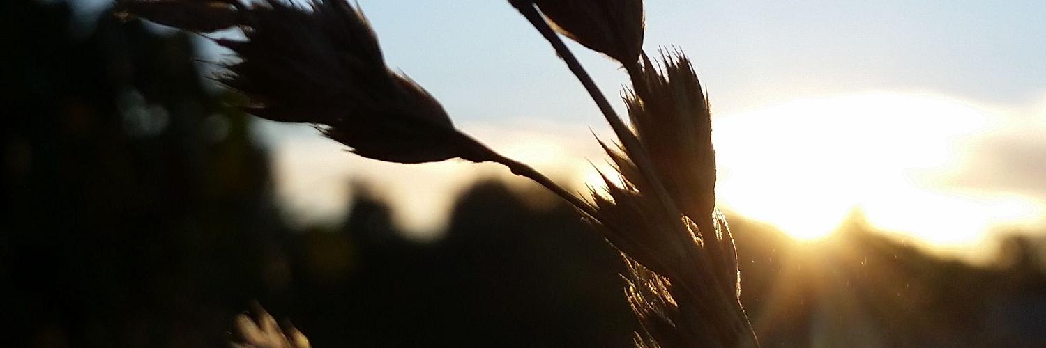 Claupga's profile banner image