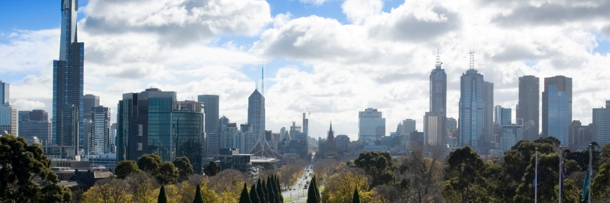 SpineWeek 2023 banner