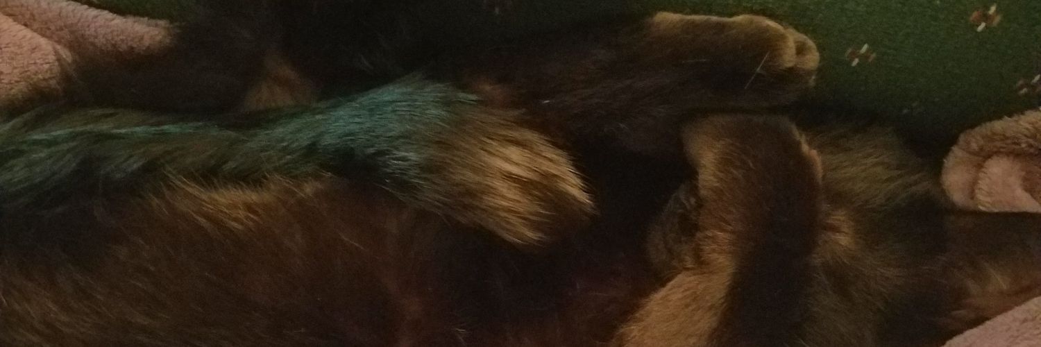 AshiKat413's profile banner image