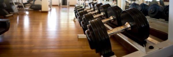 Gympanzees Profile Banner