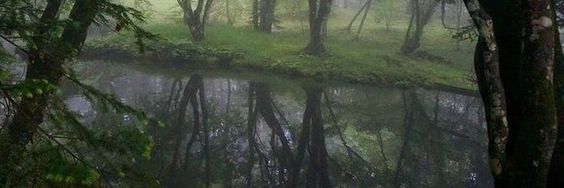 BRITNEY | Idle Master3D banner