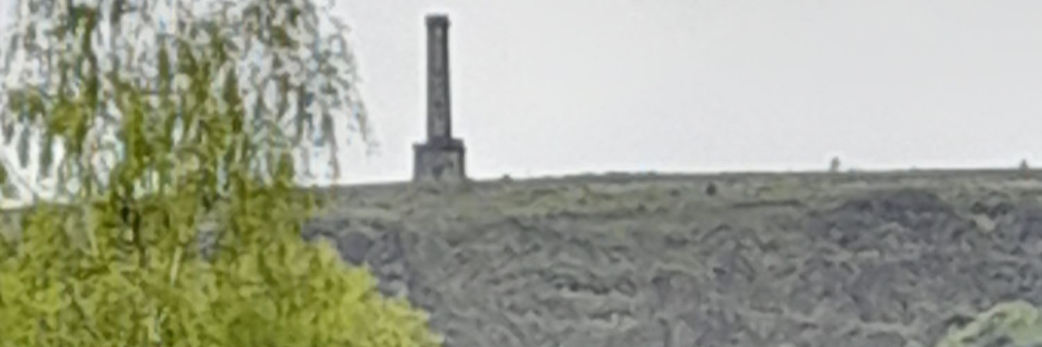 sofabear7's profile banner image