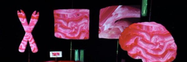 out_of_eggs Profile Banner