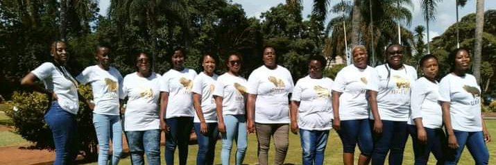 Women in Farming and Entrepreneurship-WIFE banner