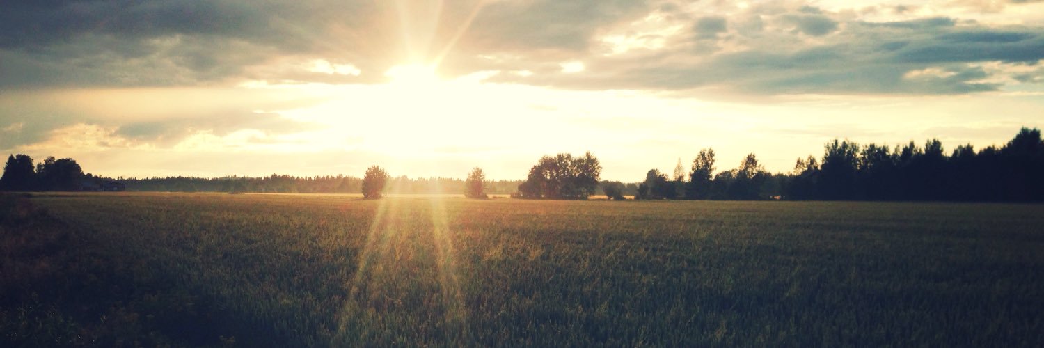 eulawee's profile banner image