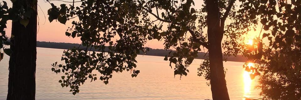 melwatters1978's profile banner image