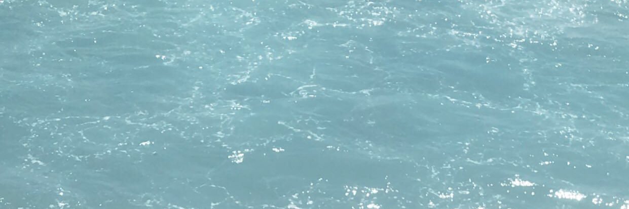 denovdp_'s profile banner image