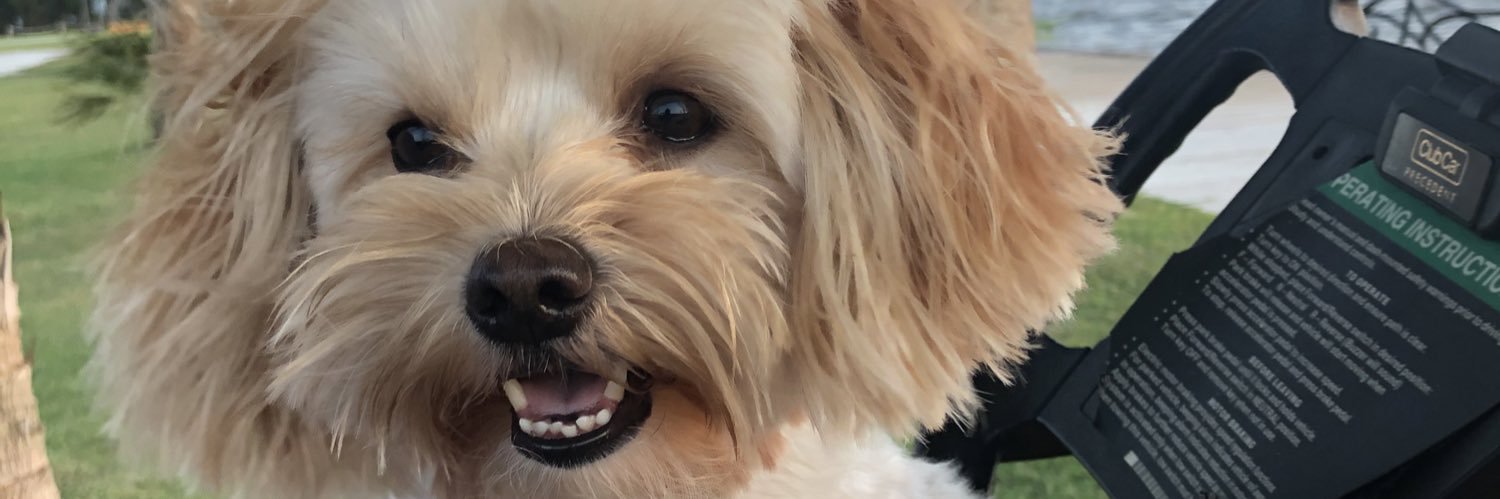 fancybones's profile banner image