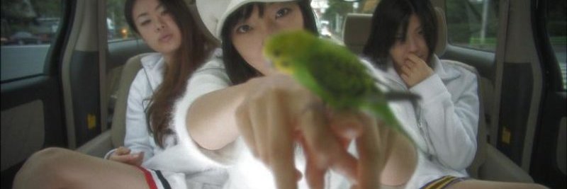 Lorenzo Sabatino banner