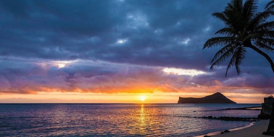 hulaalii's profile banner image