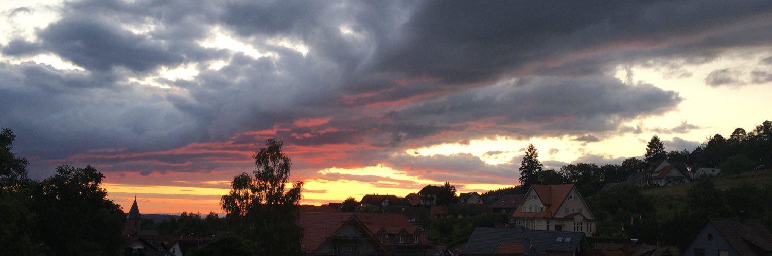 David R|3 @davidreiss.bsky.social banner