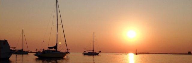 minabortone's profile banner image