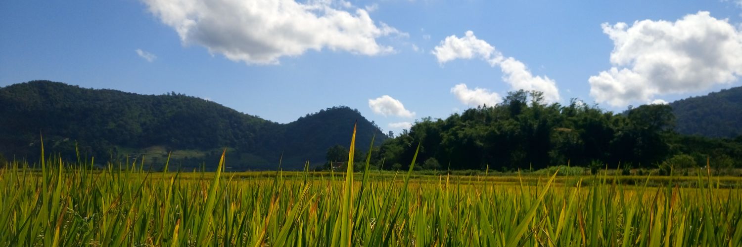 PChutpong's profile banner image