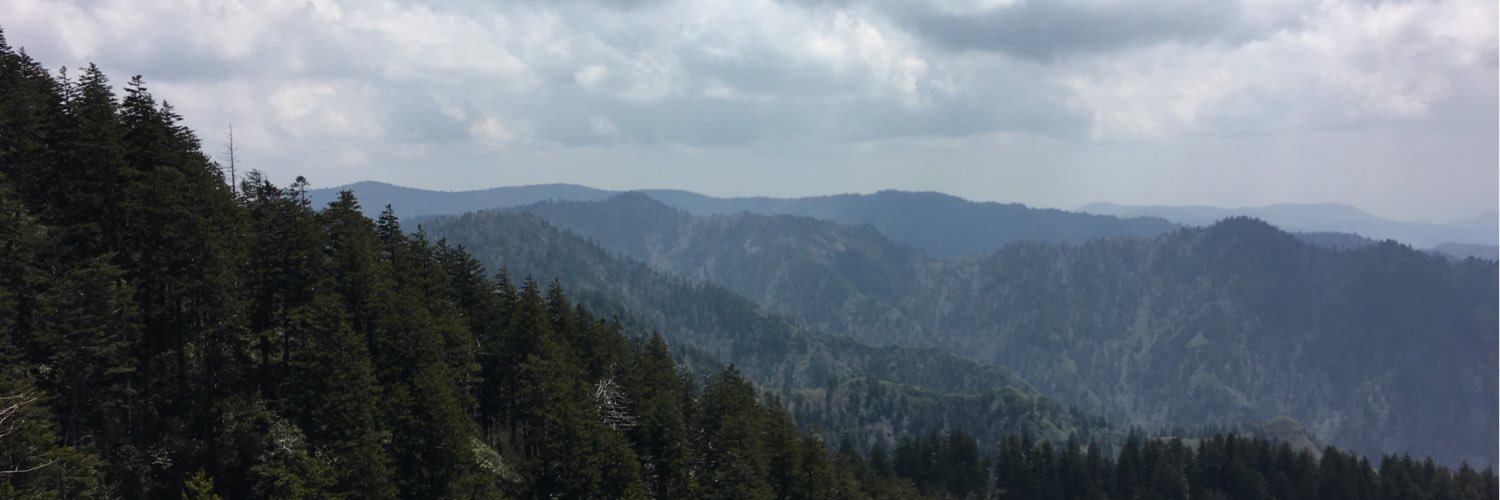 Melissa J Stedina banner