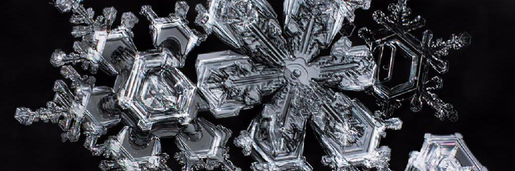 MaryThomas_SMHF's profile banner image