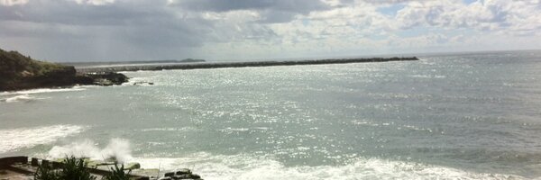 Bellabear2011 Profile Banner