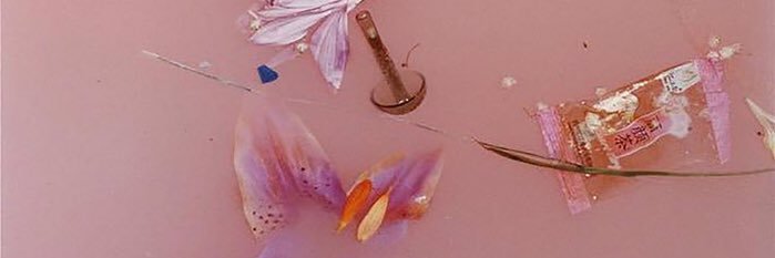 lovisxtom's profile banner image