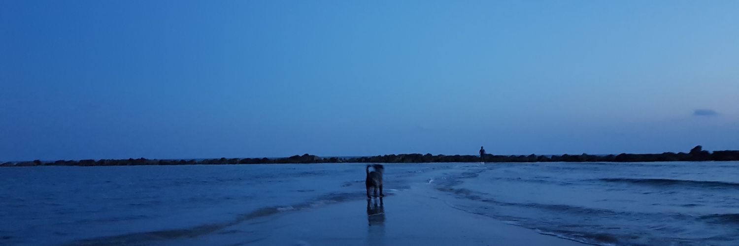 EmilyHc12's profile banner image