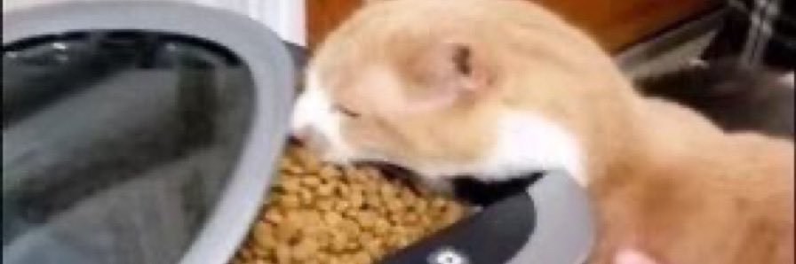 timfenton5's profile banner image
