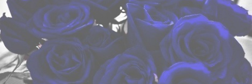 enguzelvampir's profile banner image