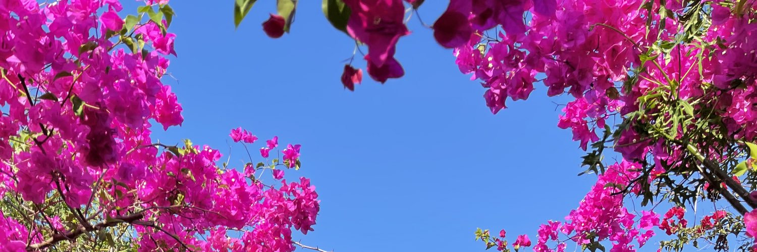 emich_'s profile banner image