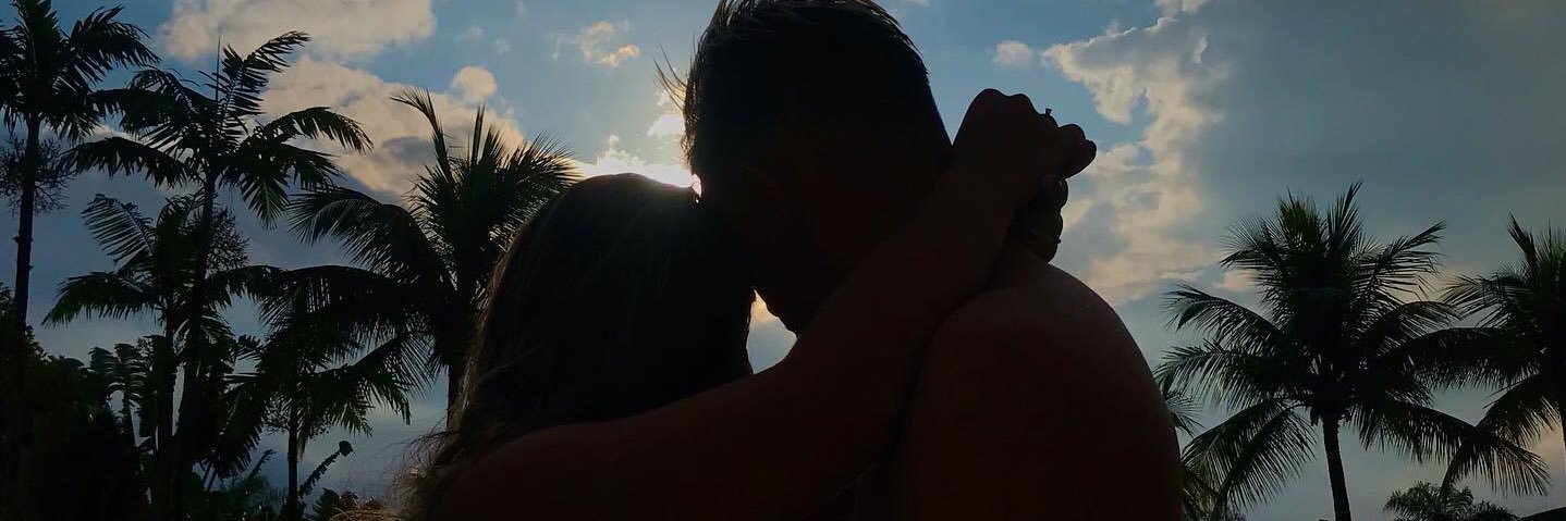 susuhrodri's profile banner image