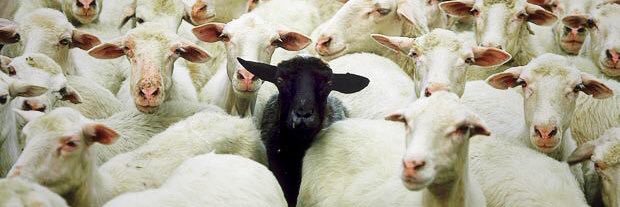 ArtSheepMag's profile banner image