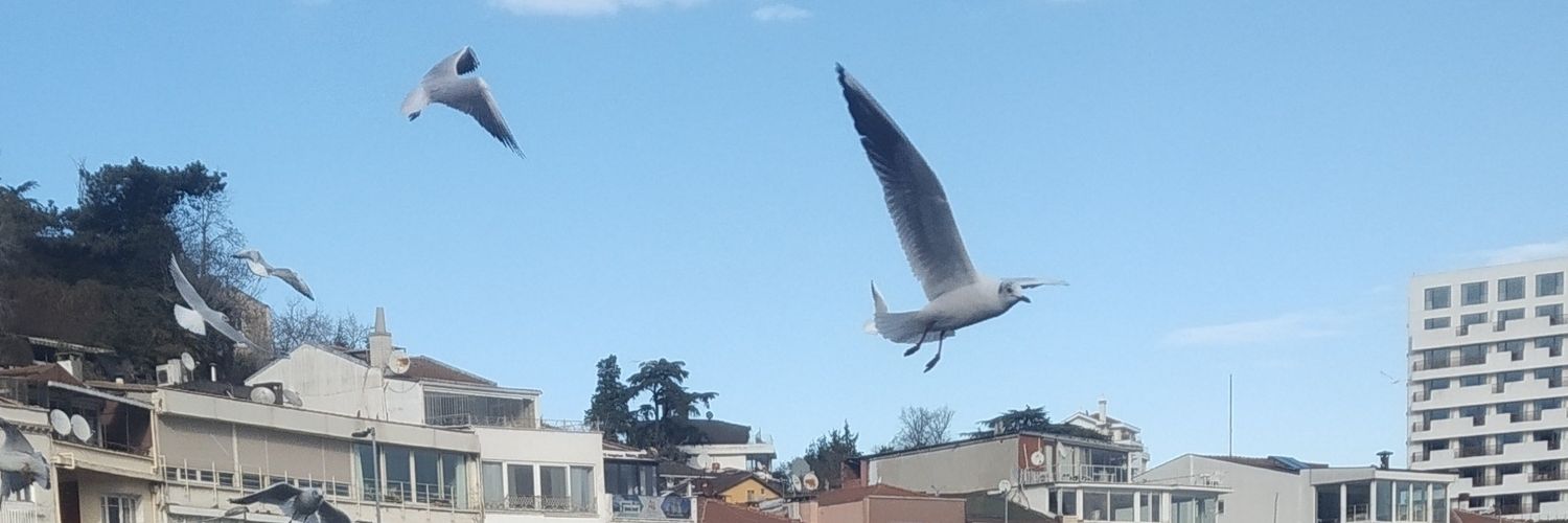 emineladybird's profile banner image