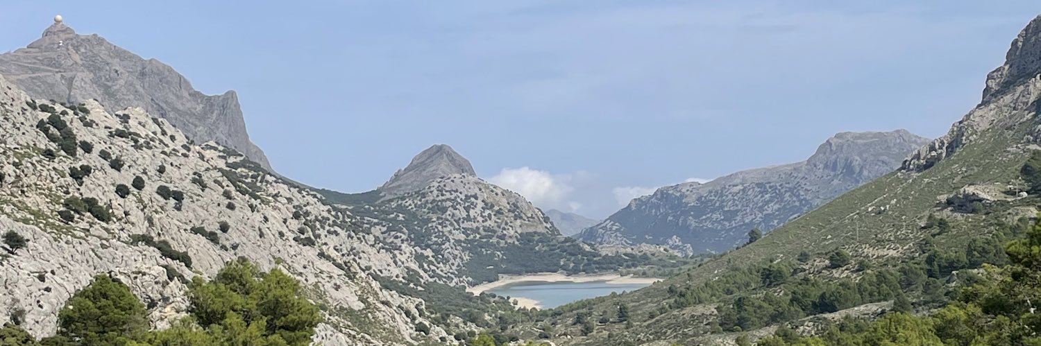 Daniel Monlí banner