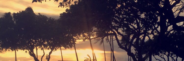 SheAintAshlee's profile banner image