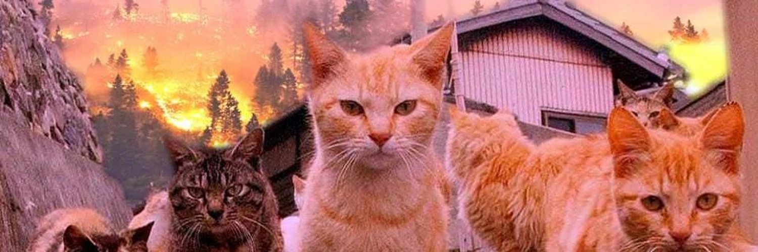 Γουνατος's banner