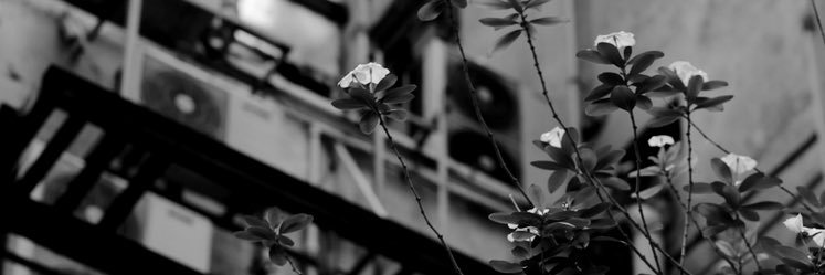 andy_do_da's profile banner image